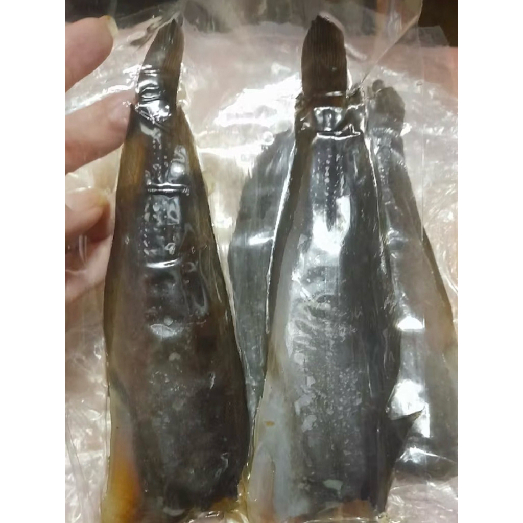 ปลาดุกร้าของดีพัทลุง