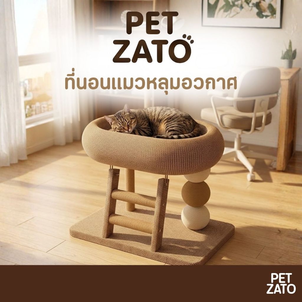 𝗣𝗘𝗧𝗭𝗔𝗧𝗢 คอนโดแมวมินิมอลพร้อมหลุมอวกาศและบันไดปีนป่าย ผลิตจากวัสดุธรรมชาติ