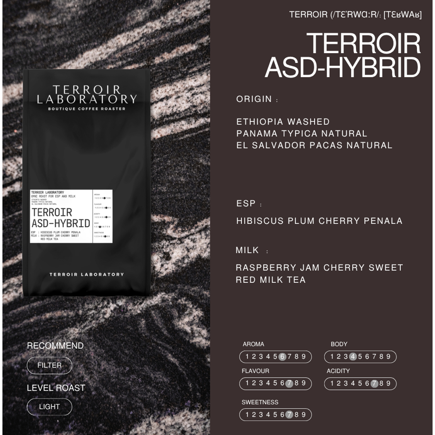Terroir ASD-HYBRID | Light Roast Filter | กาแฟ Blend