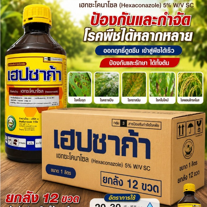เฮปซาก้า ยกลัง 12 ขวด ขนาด 1 ลิตร ตราหวีทอง เฮกซะโคนาโซล 5%SC ราแป้ง ราดำ เน่า ใบจุด เมล็ดด่าง