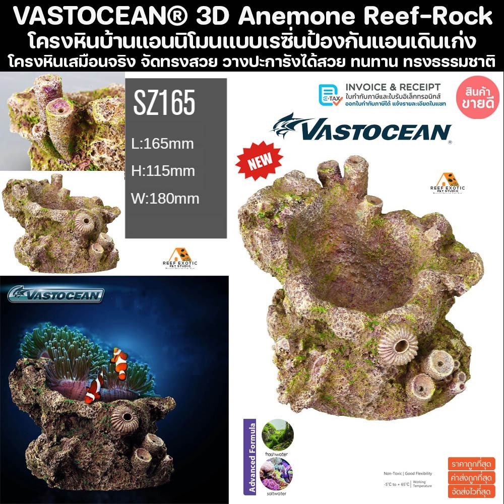 VASTOCEAN® 3D Anemone Reef Rock บ้านแอนนิโมน แบบวางพื้นแอนชอบมาก ป้องกันแอนเดิน ตู้ปลาทะเล หิน ปะการัง หินเป็น ปะการัง