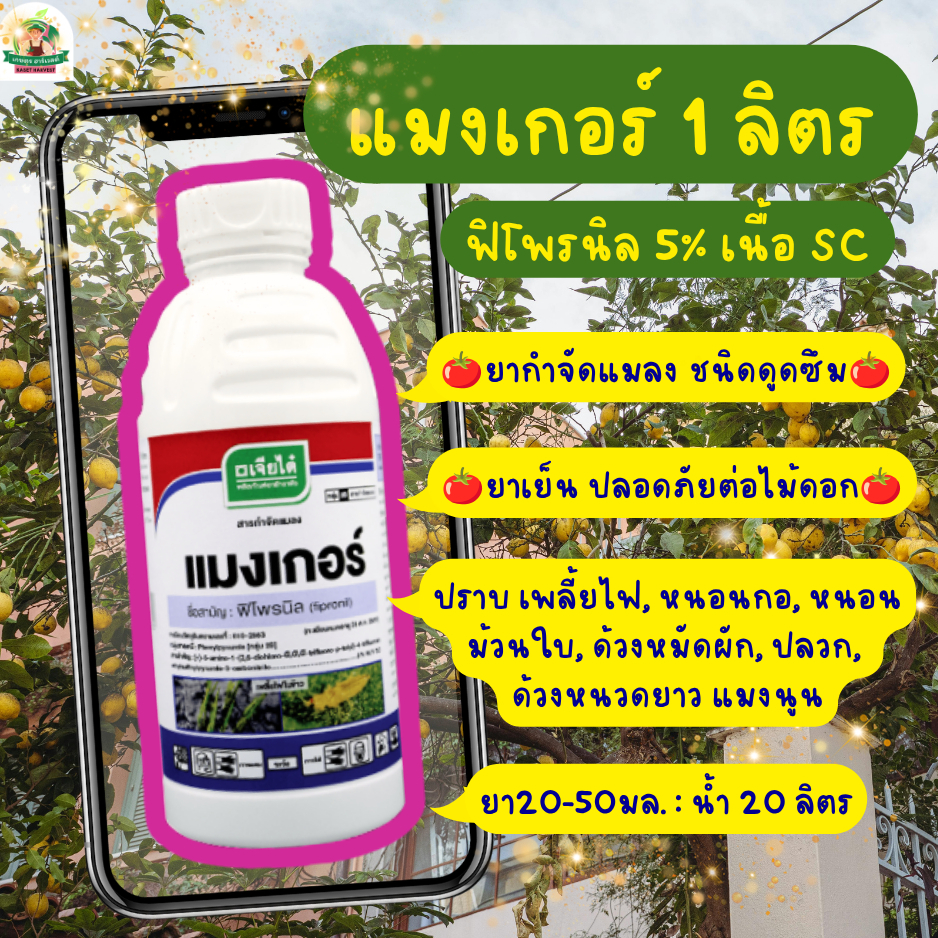 แมงเกอร์ 1 ลิตร ฟิโพรนิล เจียไต๋ ยาฆ่าแมลง หนอน เพลี้ย ด้วง ปลวด มด แมลงใต้ดิน ยาเย็น ฉีดผ่าดอกได้