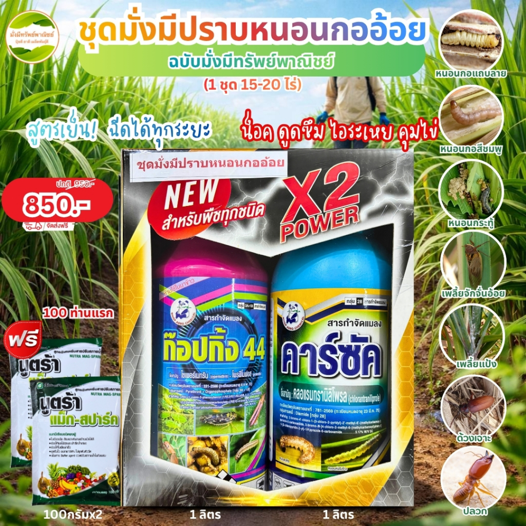 ชุดมั่งมีปราบหนอนกออ้อย ป้องกันหนอนกอ3กลไก"สารออกฤทธิ์3กลุ่ม ตัดวงจรกินตุย ถูกตัวตุย และหยุดกินทันที ปกป้องอ้อยยาวนาน