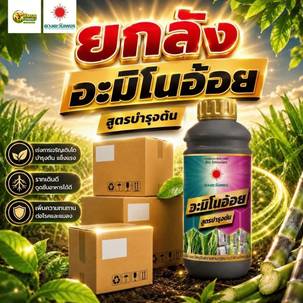 (ยกลัง1L*12) อะมิโนอ้อย 1L (ดวงตะวันเพชร)