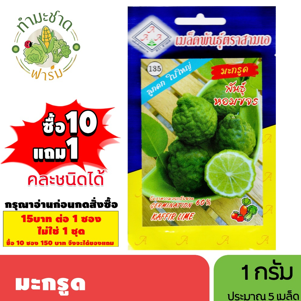 [1ซอง] 3A (ซื้อ10แถม1) เมล็ดพันธุ์ มะกรูด ขนาด1กรัม ประมาณ5เมล็ด KAFFIR LIME Bergamot มะขูด ส้มกรูด เมล็ดพันธุ์พืช เมล็ด