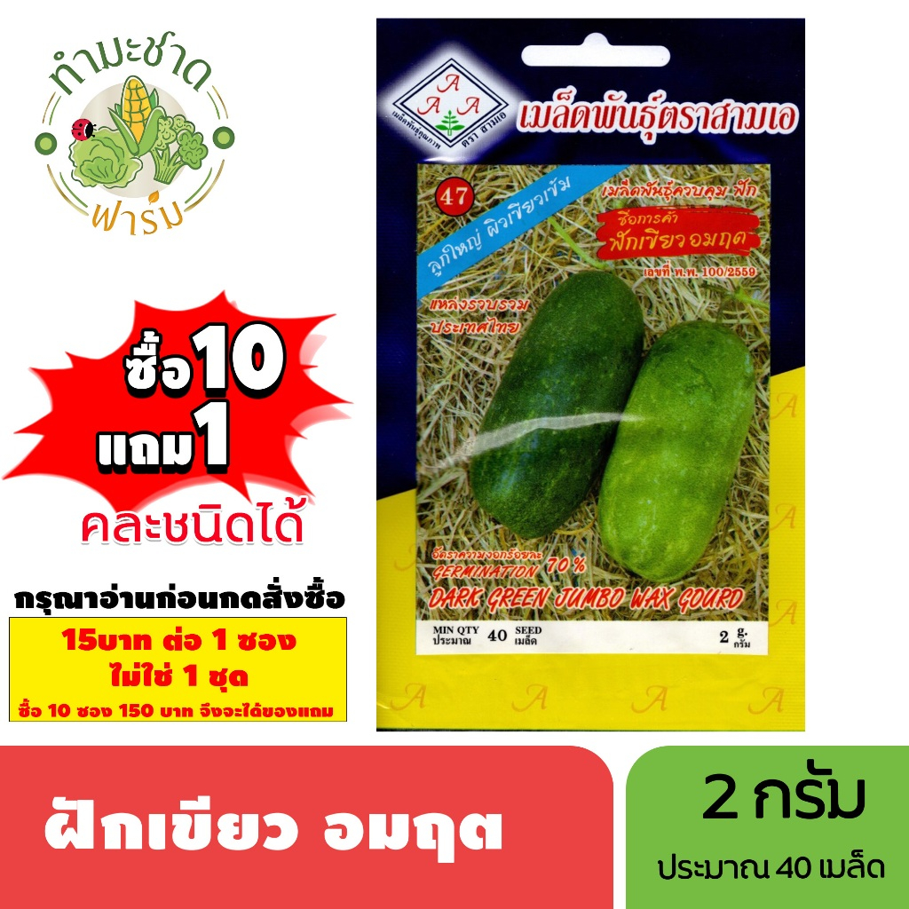 [1ซอง] 3A (ซื้อ10แถม1) เมล็ดพันธุ์ ฟักเขียว อมฤต ขนาด2กรัม ประมาณ40เมล็ด WAX GOURD ฟักเขียว เมล็ดพันธุ์พืช เมล็ดผัก ปลูก