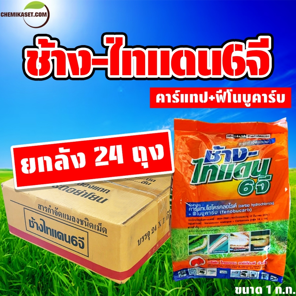 (ยกลัง24ถุง) ช้าง-ไทแดน 6 จี ขนาด 1 ก.ก. รองก้นหลุมป้องกันแมลง