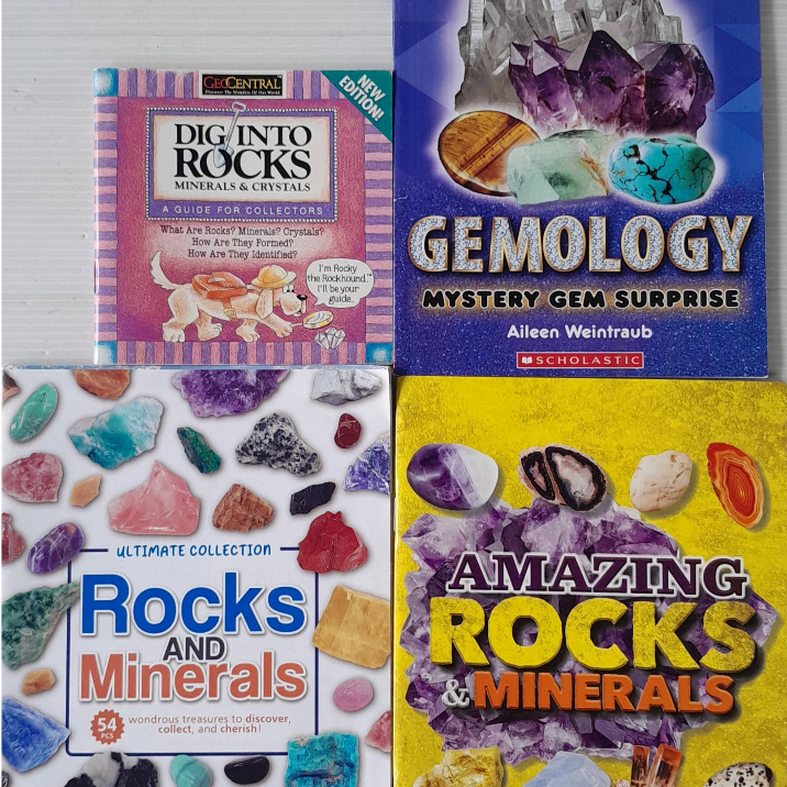 n4 Rocks and Minerals หนังสือมือสอง ปกอ่อน