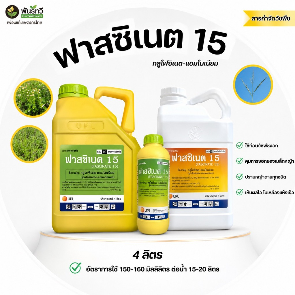 ฟาสซิเนต15 สารกำจัดวัชพืช กลูโฟซิเนต-แอมโมเนี่ยมา ปริมาณ1L และ4L