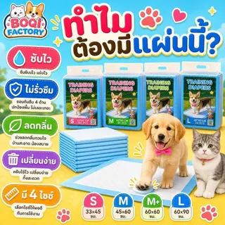 Thai.th แผ่นรองฉี่ Cocoyo สุนัขและแมว บ๊อกด็อก และ จิจิโกะ ดูดซับกลิ่น (มีราคาส่ง)