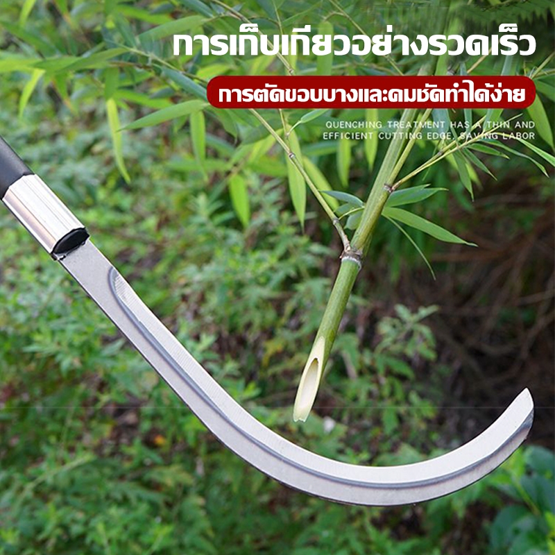 เคียวด้ามยาว 60ซม. เคียวแมงกานีสแท้ มีดหวด มีดขอ มีดตัดกล้วย มีดดายหญ้า ลับคมกริบ น้ำหนักเบา ราคาถูก จัดส่งด่วน - รูปที่ 4