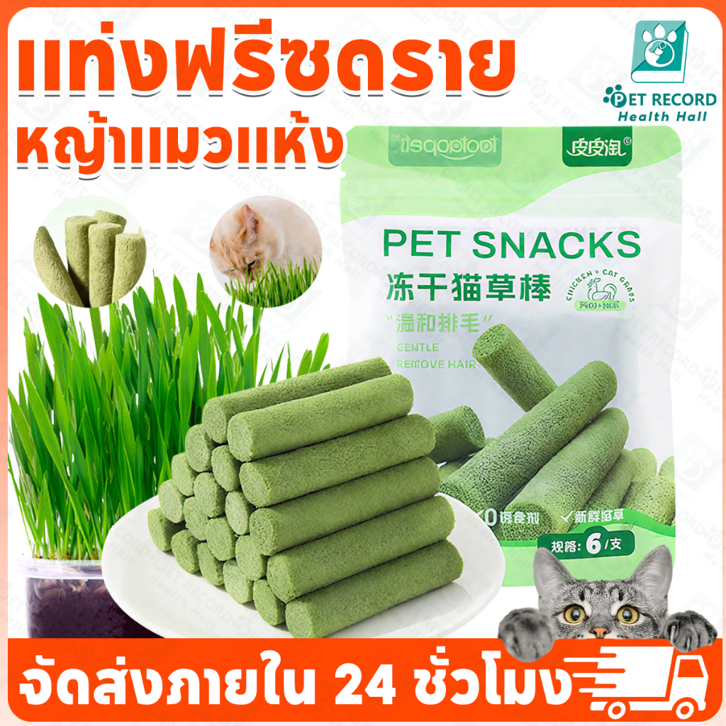 แช่แข็ง หญ้าแมวแท่ง ขนมฟรีซดรายสําหรับแมว ขนมกระดูกขัดฟัน ขนมขัดฟันลดกลิ่นปาก