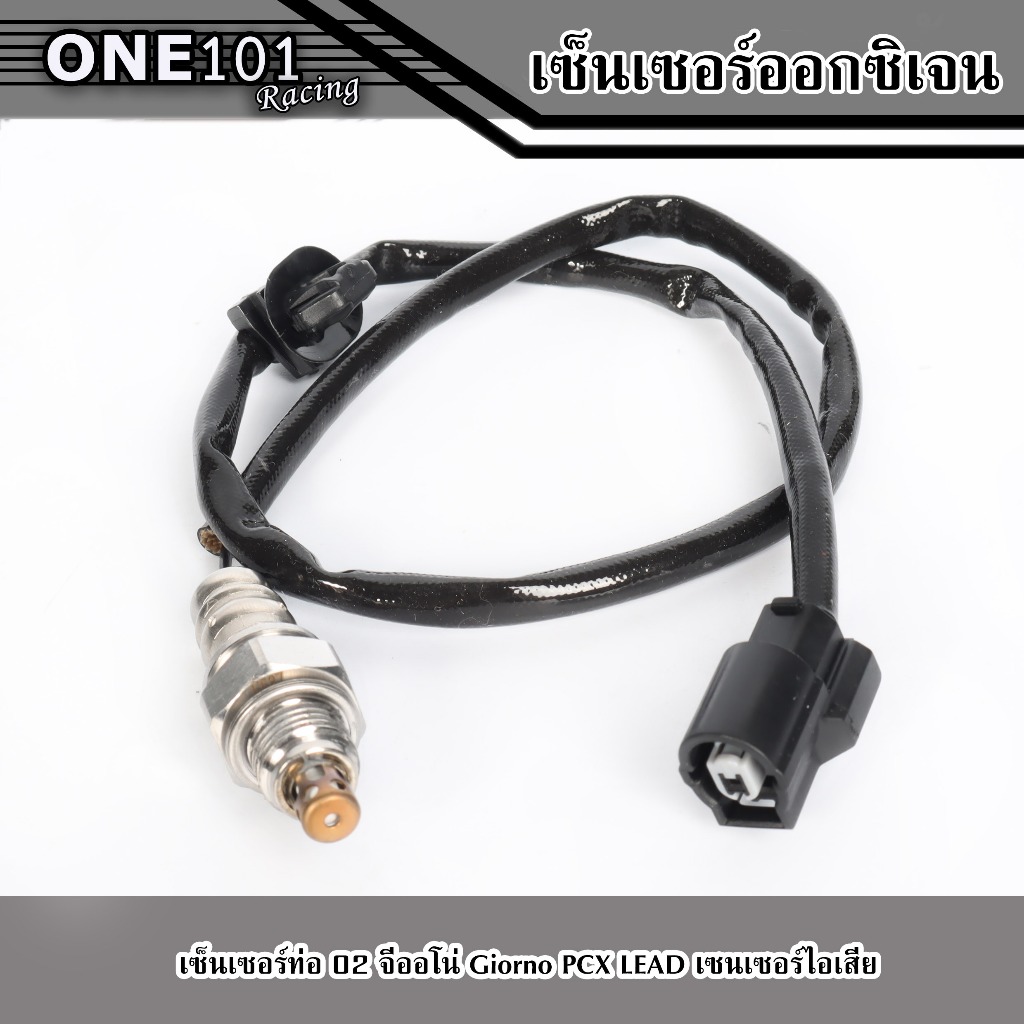 รูปภาพ 2