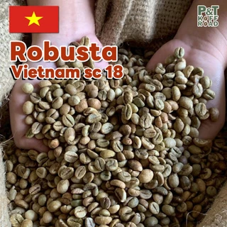 [💥กระสอบ 5 kg💯] สารกาแฟโรบัสต้าเวียดนาม SC16-18 | Dry Process or Natural Process P&T KoffRoad