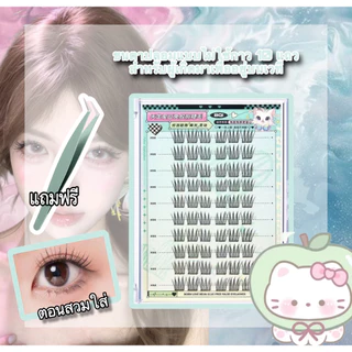 BQIขนตาปลอม 10 แถว มีกาวในตัว/ไร้กาว ถอดง่าย ใช้ซ้ำได้ ความจุใหญ่ พร้อมส่งในไทย