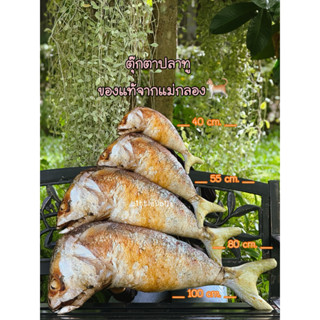 ตุ๊กตาปลาทูทอด ของเล่นแมว งาน3Dเหมือนจนแมวงง🐟