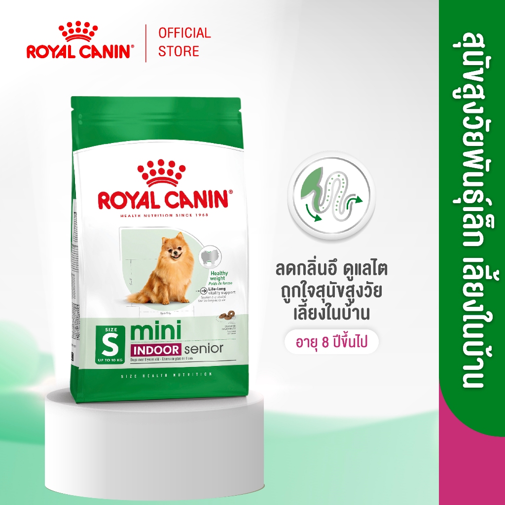 Royal Canin Mini Indoor Senior 500g อาหารเม็ดสุนัขสูงวัยพันธุ์เล็กเลี้ยงในบ้าน อายุ8ปีขึ้นไป