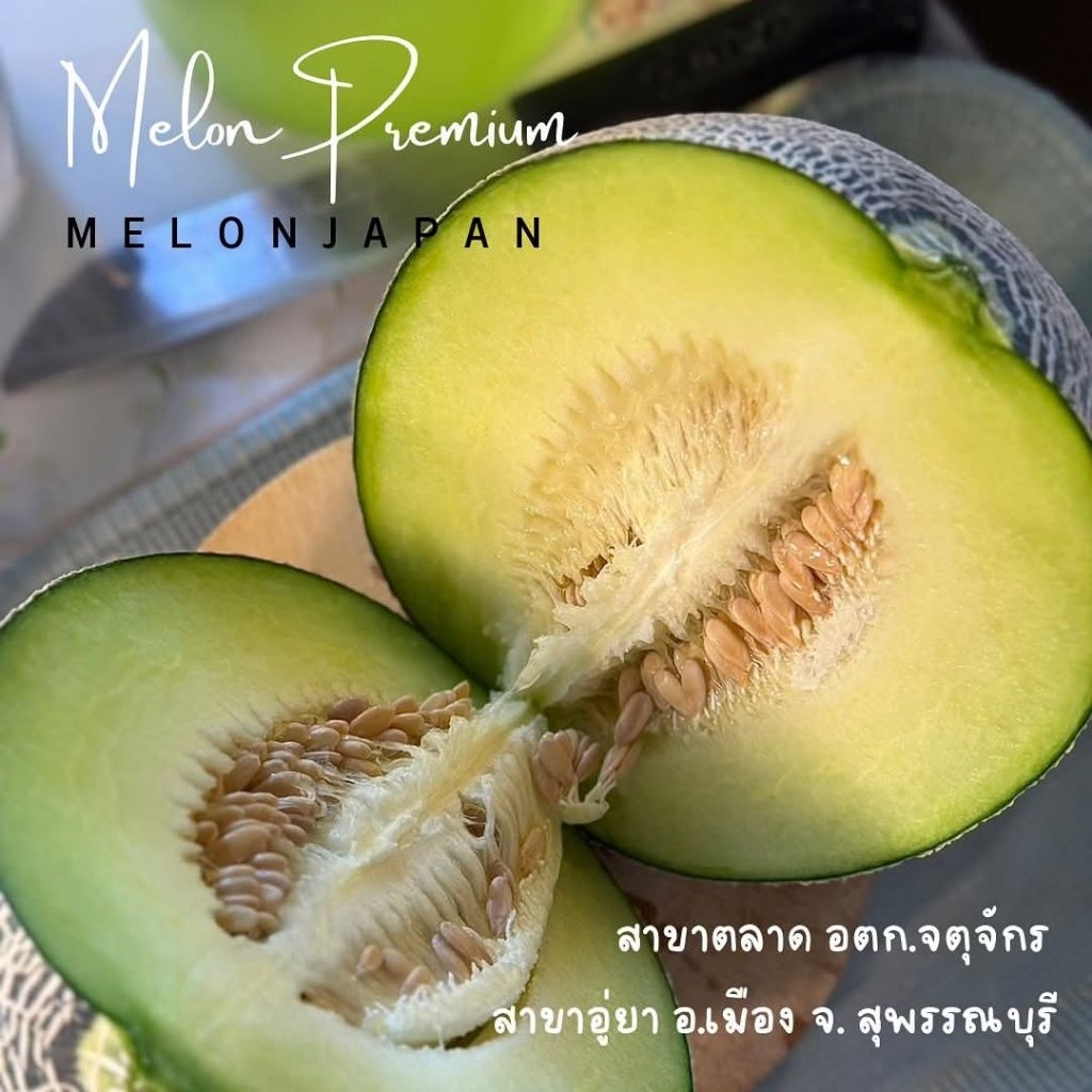 เมล่อนสายพันธ์ญี่ปุ่นแท้100%เกรดAเนื้อเขียวหวานหอม