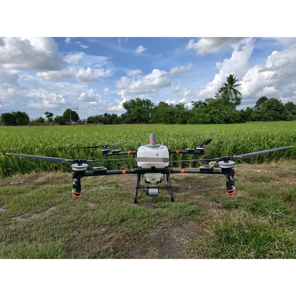 รูปภาพ 7