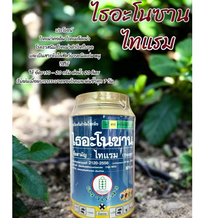 ไทแรม 500 กรัม กำจัดเชื้อรา แก้ใบไหม้ โรคราสนิม โรคเน่าดำ และขับไล่สัตว์บางชนิด