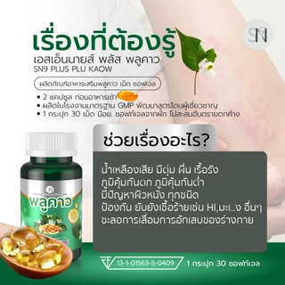 Mall-[ตะกร้าบริษัท] พลูคาวสกัดเย็น SN9 Plus Plu kaow