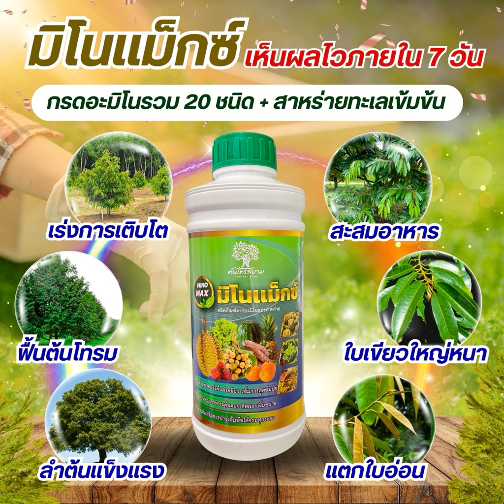 มิโนเเม็กซ์(กรดอะมิโนรวม 20 ชนิด+สาหร่ายเขียวสูตรเข้มข้น) ฟื้นต้นโทรม สะสมอาหาร ใบเขียวเข้มใบหนา ฟื้นฟูลำต้นต้นเเข็งเเรง