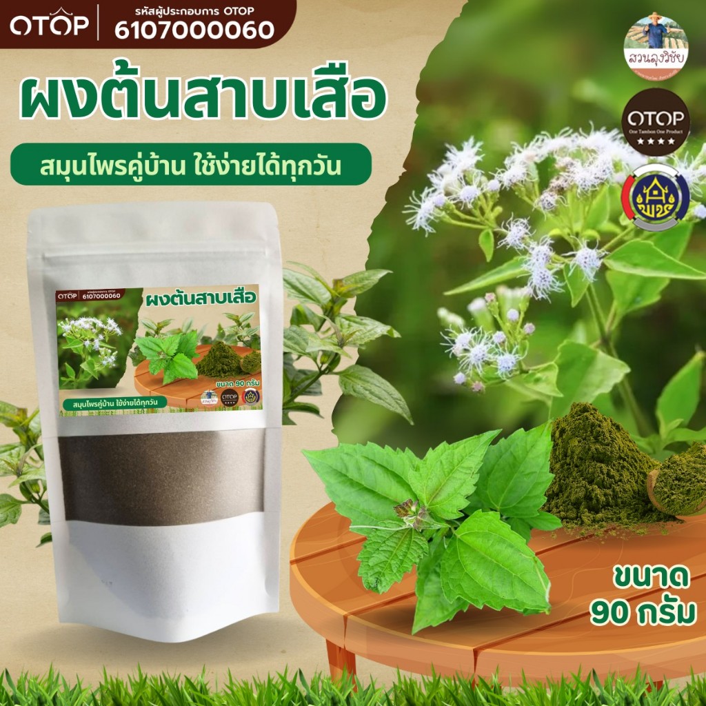 ผงต้นสาบเสือ สาบเสือ บดอบใหม่ สะอาด จาก OTOP ออกใบกำกับได้ ขนาด 90 กรัม