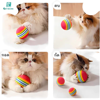 Pet Record ลูกบอล EVA สำหรับสัตว์เลี้ยง ลูกบอลยืดหยุ่นสำหรับแมว ของเล่นสัตว์เลี้ยง ลูกบอลเล่น