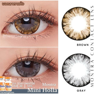 Holla gray/Brown สายตาปกติ-600(Mini/Bigeye)