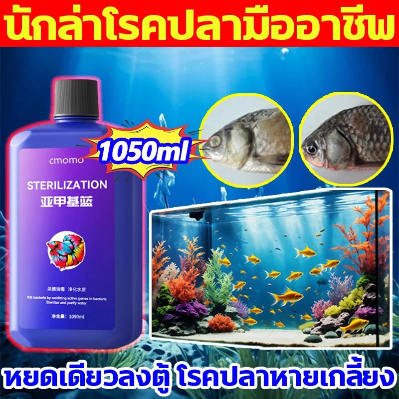 🔥CMOMO จุลินทรีบ่อปลา 1050ml ปรับปรุงคุณภาพน้ำ ดูแลสุขภาพปลา ละลายอุจจาระ ดับกลิ่นเหม็น แท้ 100%