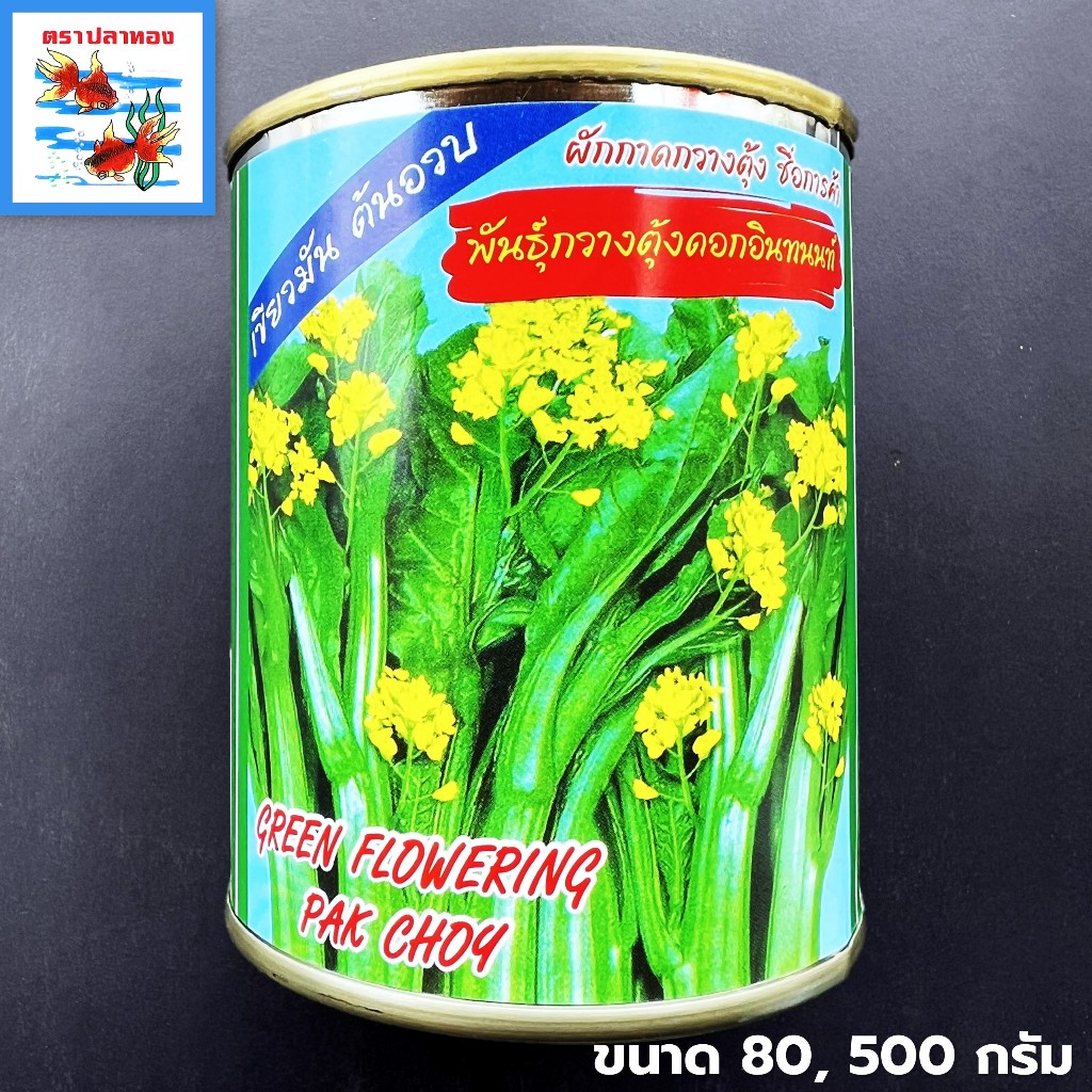 เมล็ดกวางตุ้งดอกฮ่งกง ผักกาดกวางตุ้ง กระป๋อง ขนาด 80, 500 กรัม ตราปลาทอง พันธุ์ กวางตุ้งดอกอินทนนท์