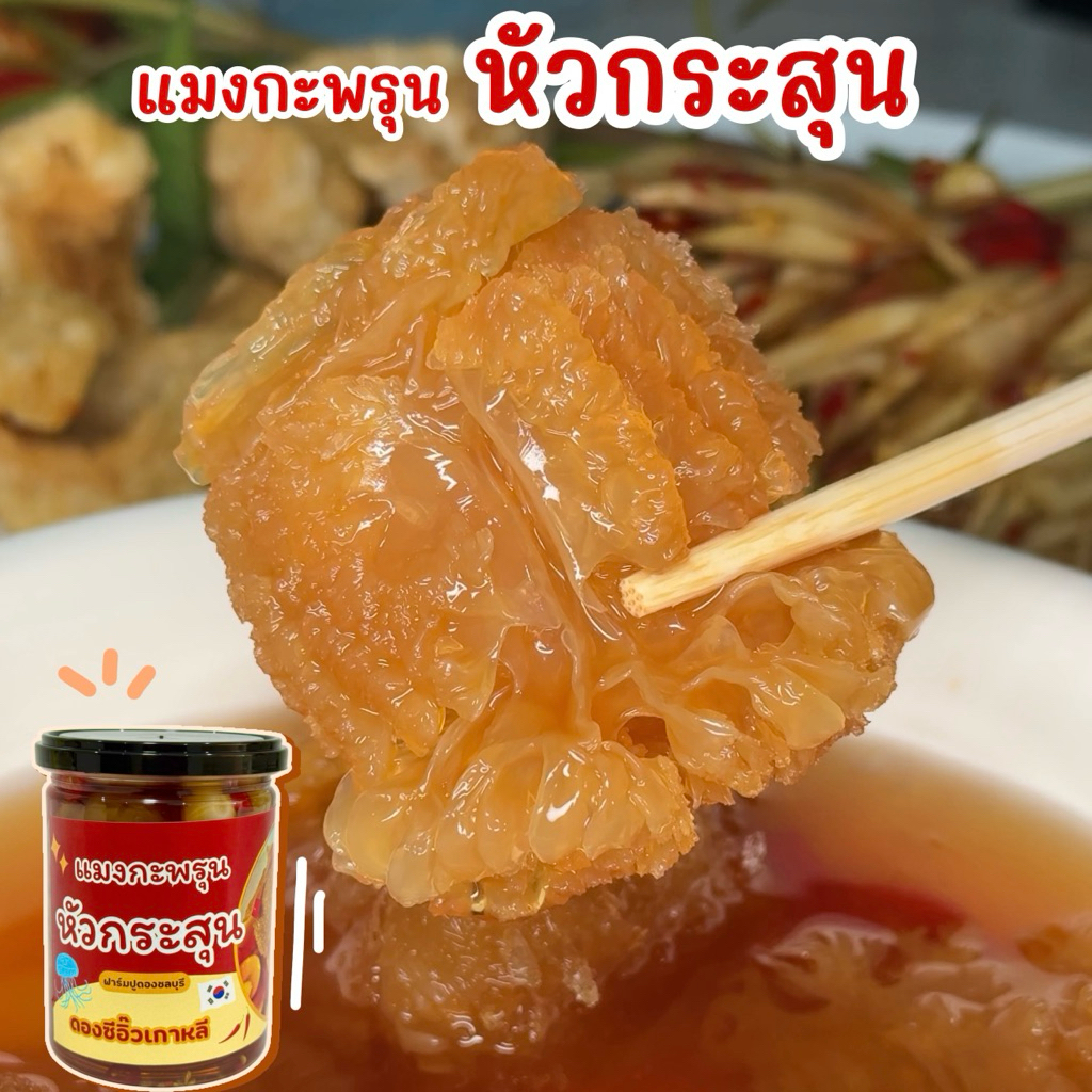 (วันที่ได้รับสินค้าแจ้งในแชท) แมงกะพรุนหัวกระสุนดองซีอิ๊วเกาหลี 2-4หัว แถมน้ำจิ้มซีฟู้ด🌶️ ลวกสุกพร้อมทาน ไม่เค็ม