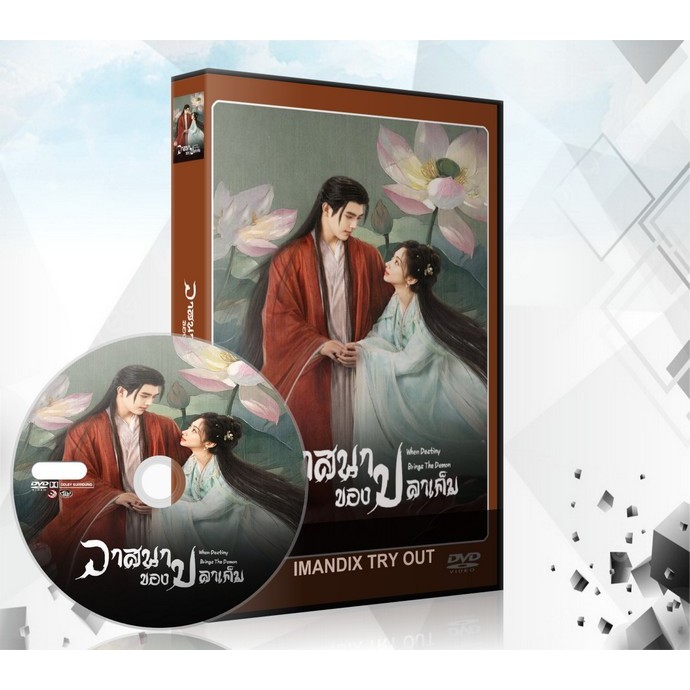 ซีรี่ย์จีน When Destiny Brings The Demon วาสนาของปลาเค็ม (2025) DVD 6 แผ่นจบ.