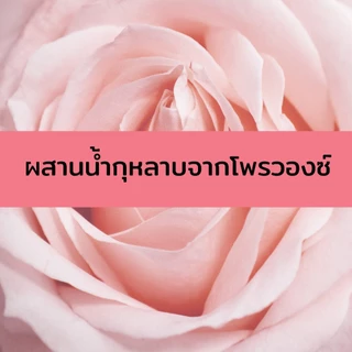 แป้งฝุ่นล้อแสง ไบรท์แอนด์โกลว์ LOOSE POWDER SPF15 PA++ ชิมเมอร์กระจายแสง POLLY ROSE