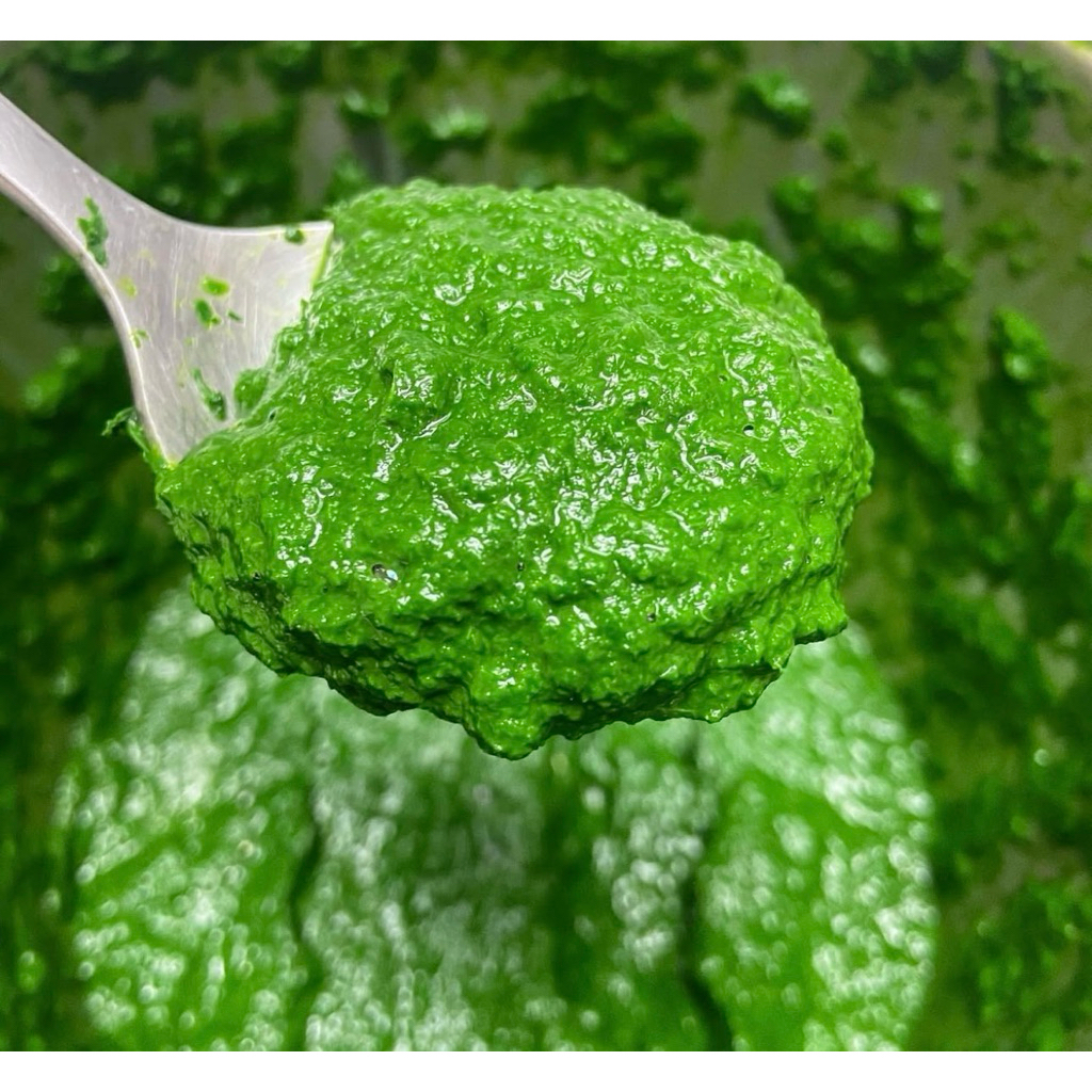 Homemade Pesto sauce แบบเข้มข้น ขนาด 500g.