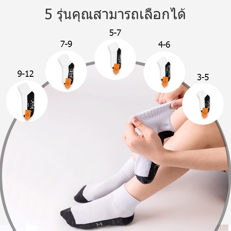 รูปภาพ 8