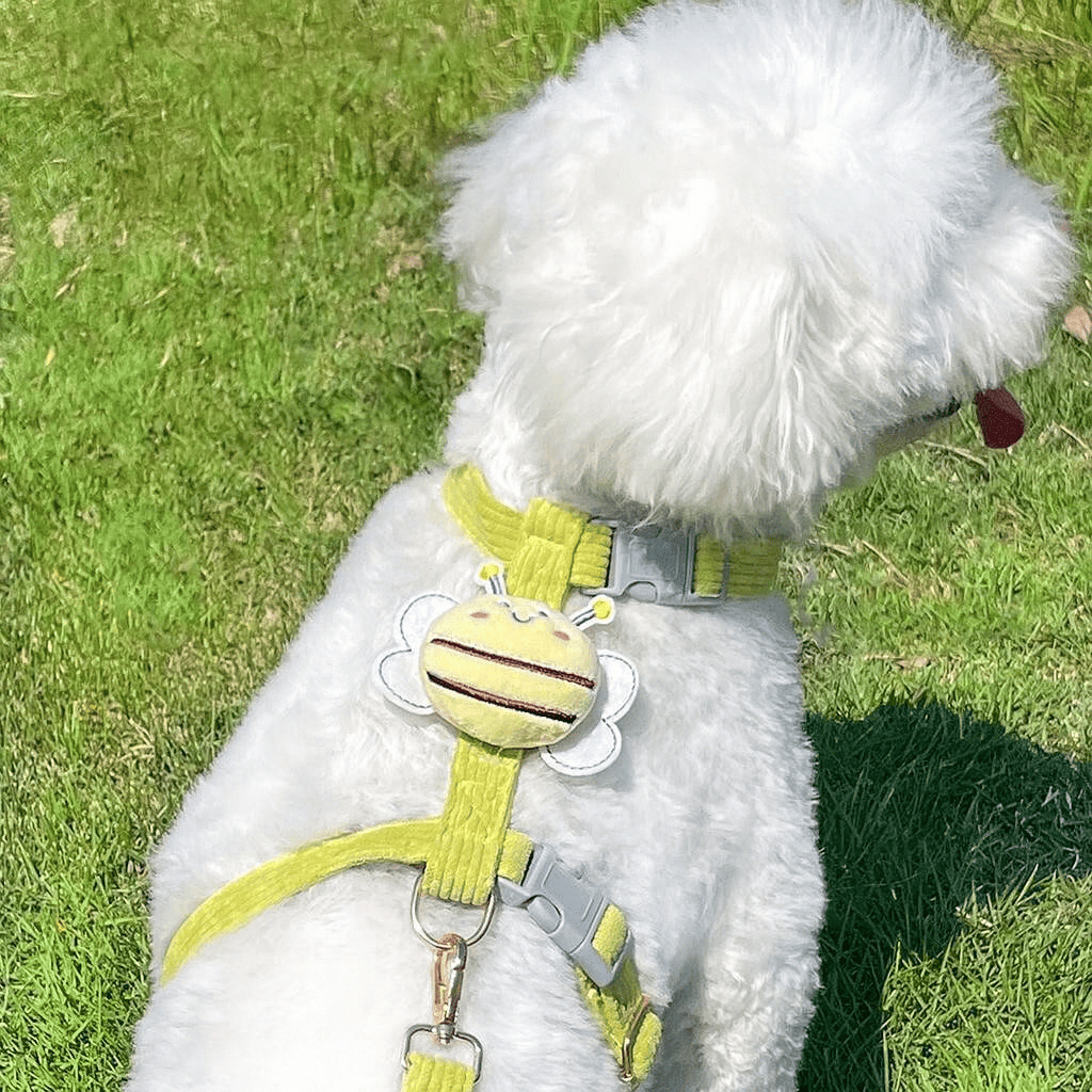 รูปภาพ 3