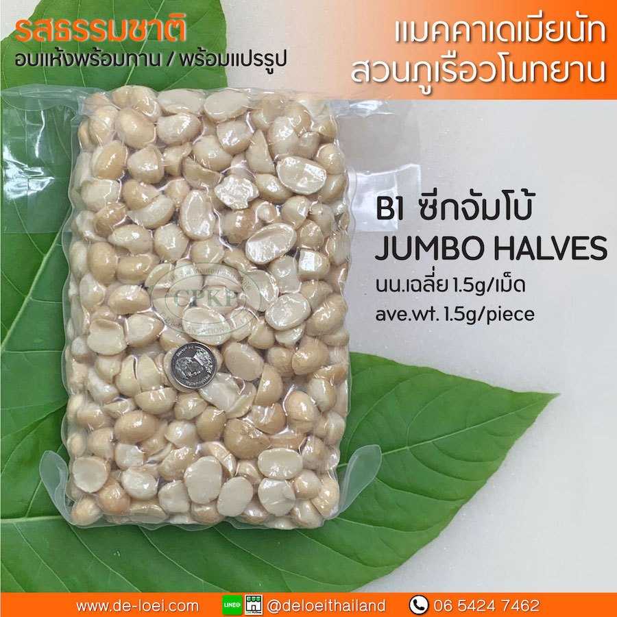 แมคคาเดเมีย อบพร้อมทาน ครึ่งซีกจัมโบ้ B1 ยกลัง (5KG) Macadamia nuts