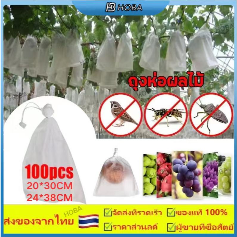 100 ใบถุงห่อผลไม้ ถุงห่อมะม่วง ใช้ห่อกันแมลง เพลี้ย แสงแดดไม่ต้องห่อกระดาษทับ ใช้ซ้ำได้ ไม่มีไอน้ำเกาะในถุง ถุงห่อฝรั่ง
