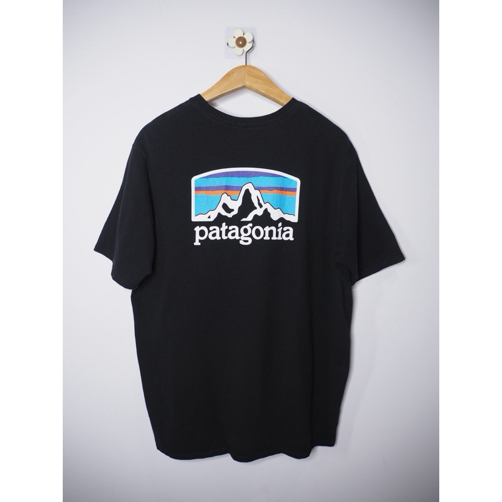 เสื้อเดินป่า Patagonia Fitz tee ของแท้ มือสอง