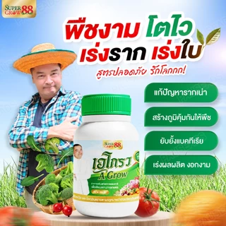 อาหารเสริมพืช ไคโตซานบริสุทธิ์ ผลดก ใบเขียว ต้นสวย โตไว ตรา เอโกรว A Grow