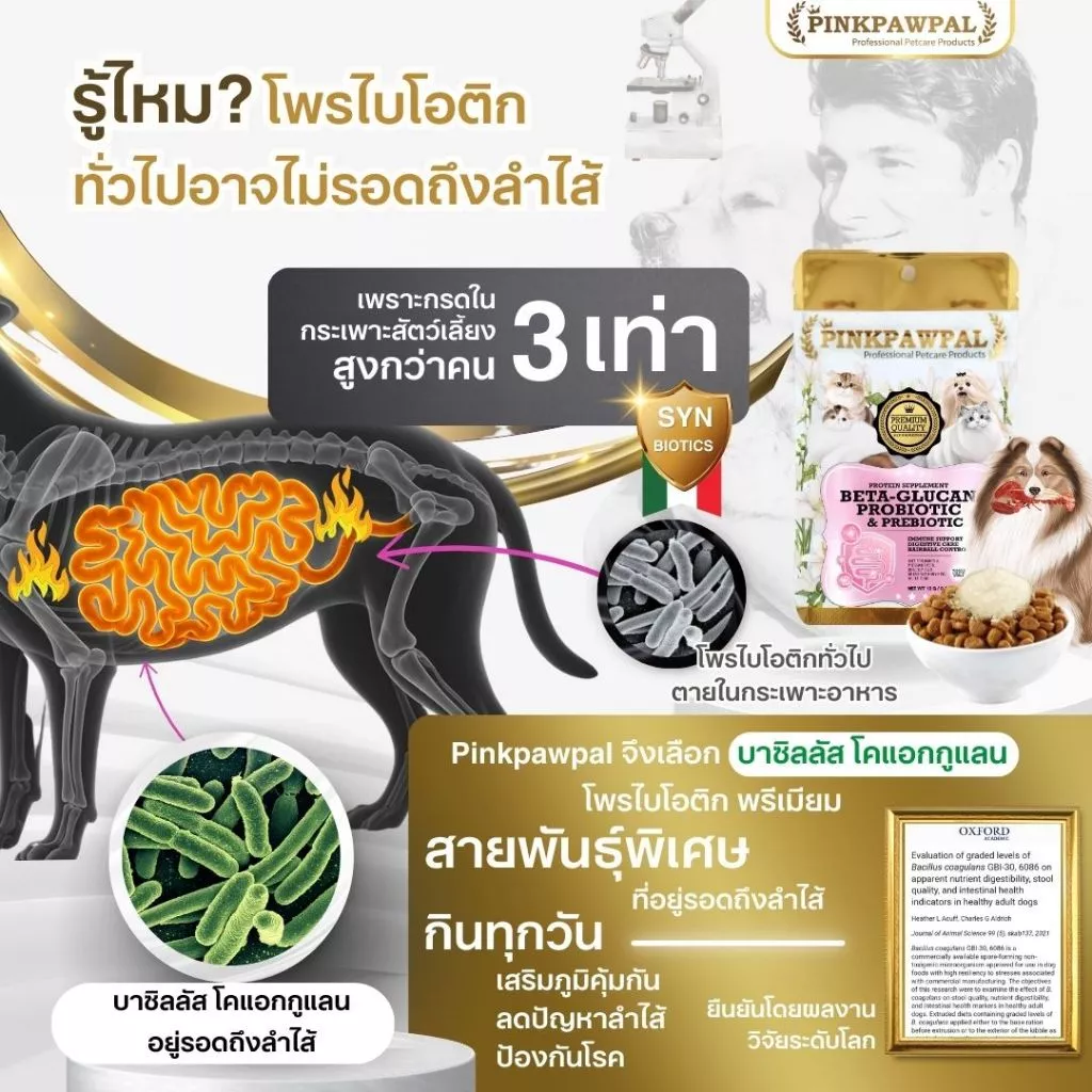 Pinkpawpal ผงโปรตีนแมว เสริมภูมิ บำรุงขน เพิ่มน้ำหนัก thumbnail 6