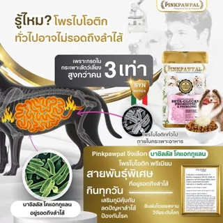 Pinkpawpal อาหารเสริมแมว ผงโปรตีนเพิ่มน้ำหนัก ผงเสริมภูมิคุ้มกัน ผงโพรไบโอติก สำหรับแมว [ขนาดทดลอง]
