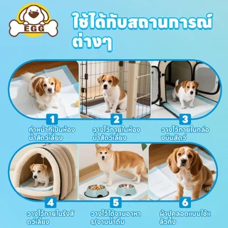 【พร้อมส่ง】EGGแผ่นรองฉี่สุนัข หนาขึ้น ดูดซับดีเยี่ยม ต้านเชื้อแบคทีเรีย - แผ่นรองฝึกสุนัข แผ่นรองฉี่แมว