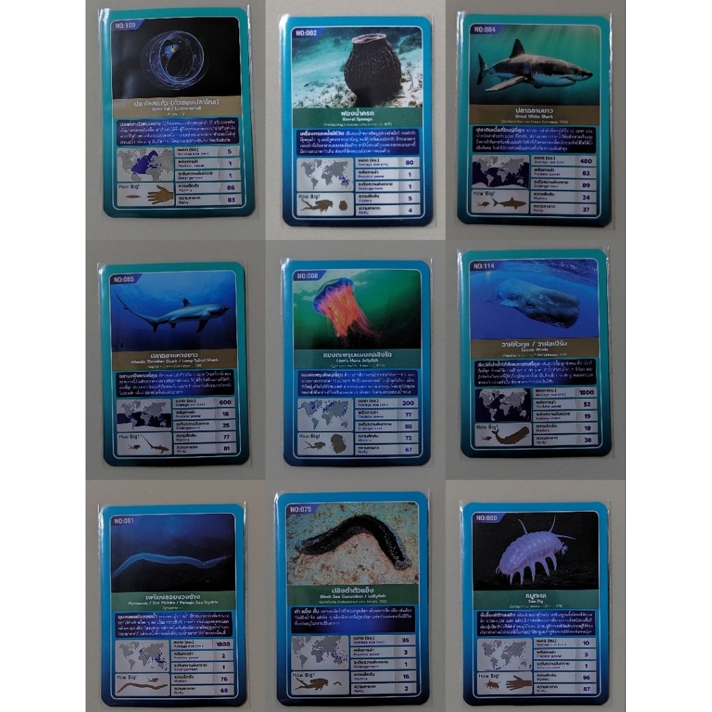 โอโตริ การ์ดความรุ้อาณาจักรสัตว์โลก แบบใบ