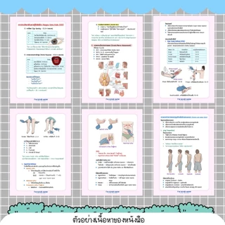 การตรวจร่างกายและการวินิจฉัยโรคเบื้องต้น