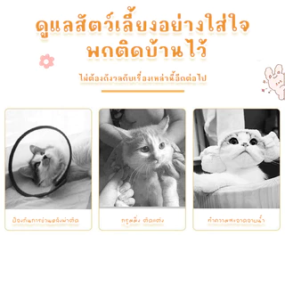 STOCK ลำโพงกันเลีย เหมาะสำหรับสุนัขและแมว อุปกรณ์สำหรับสัตว์เลี้ยง ลำโพงสุนัข ลำโพงแมว ปลอกคอสำหรับสุนัข ปลอกคอสำหรับแมว