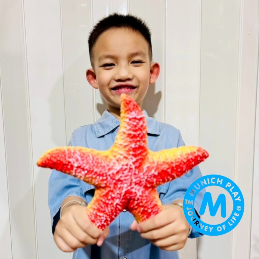 Munich Play - โมเดลสัตว์ Starfish ปลาดาว แดง ขนาด 22.00 CM แบบนิ่ม (จากหาดใหญ่)