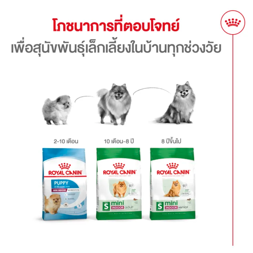 Royal Canin Mini Indoor Adult โรยัล คานิน อาหารเม็ดสุนัขโต พันธุ์เล็ก เลี้ยงในบ้าน อายุ 10 เดือน – 8 ปี (กดเลือกขนาดได้, ราคา ถูกที่สุด ดีลบีเคเค แกลเลอรีภาพที่ 2