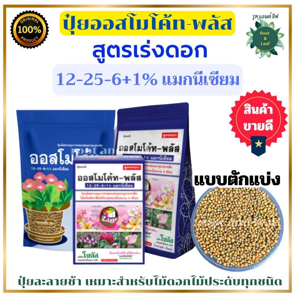 ออสโมโค้ท พลัส สูตร 12-25-6 ใส่เพียงครั้งเดียว พืชได้รับปุ๋ยต่อเนื่องนาน 6 เดือน สูตรเร่งดอกโรยเม็ดที่โรยรอบโคนต้น